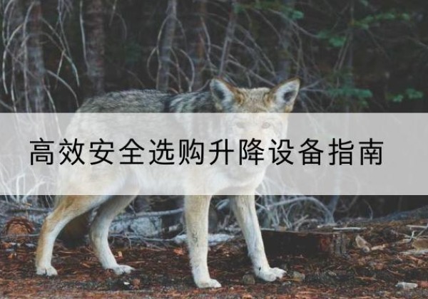 柳南升降货梯厂家推荐-*安全选购升降设备指南