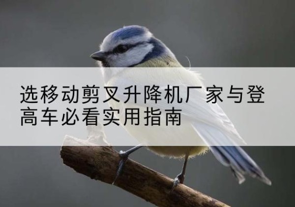 柳南电动升降机厂家-选移动剪叉升降机厂家与登高车必看实用指南
