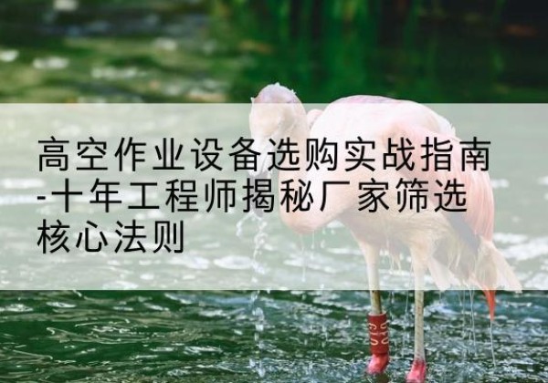 柳南剪叉式升降机厂家-高空作业设备选购实战指南-十年工程师揭秘厂家筛选核心法则